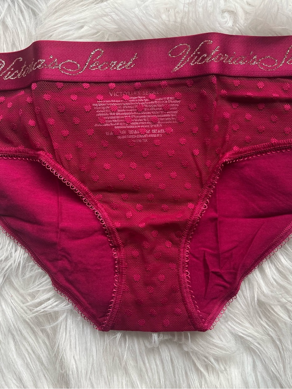 Victoria's Secret Cotton Lingerie Mesh Hiphugger Panty Size M